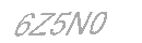 Güvenlik Kodu