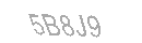 Güvenlik Kodu