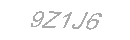 Güvenlik Kodu